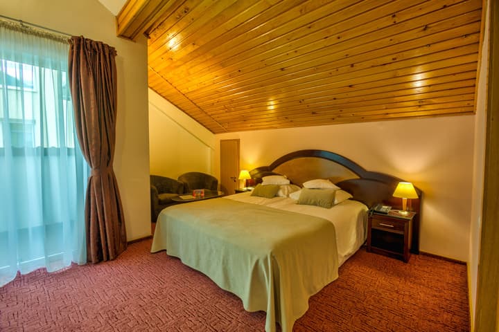 Hotel Ambient