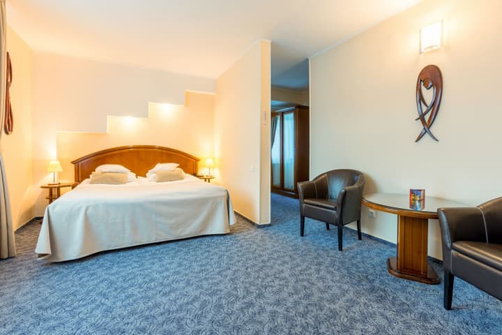 Hotel Ambient