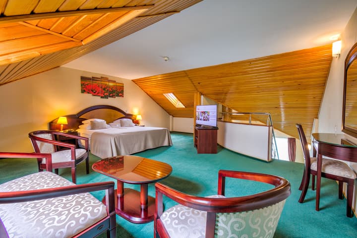 Hotel Ambient