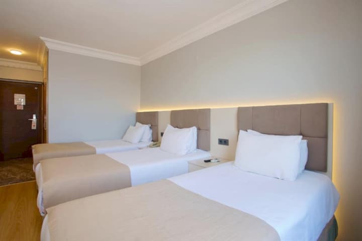 Palette Grand Ant Hotel Istanbul