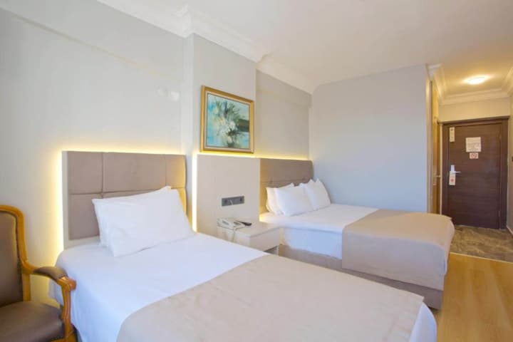 Palette Grand Ant Hotel Istanbul