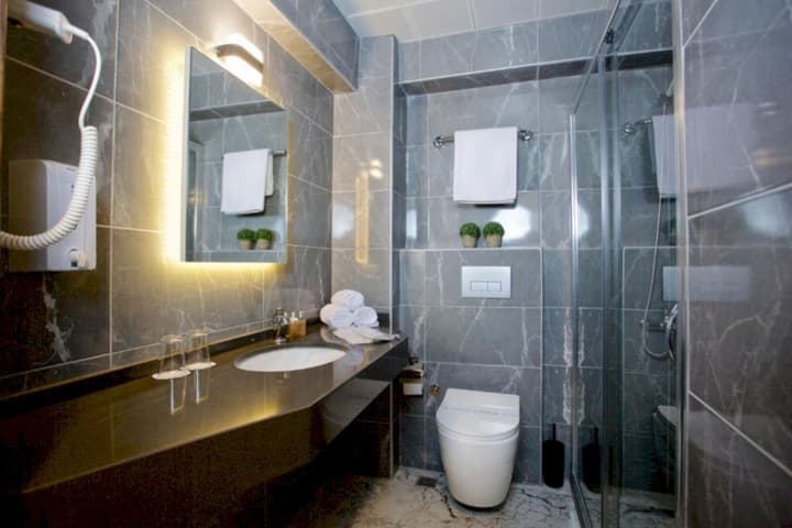 Palette Grand Ant Hotel Istanbul