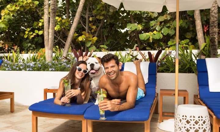 Solé Miami, A Noble House Resort
