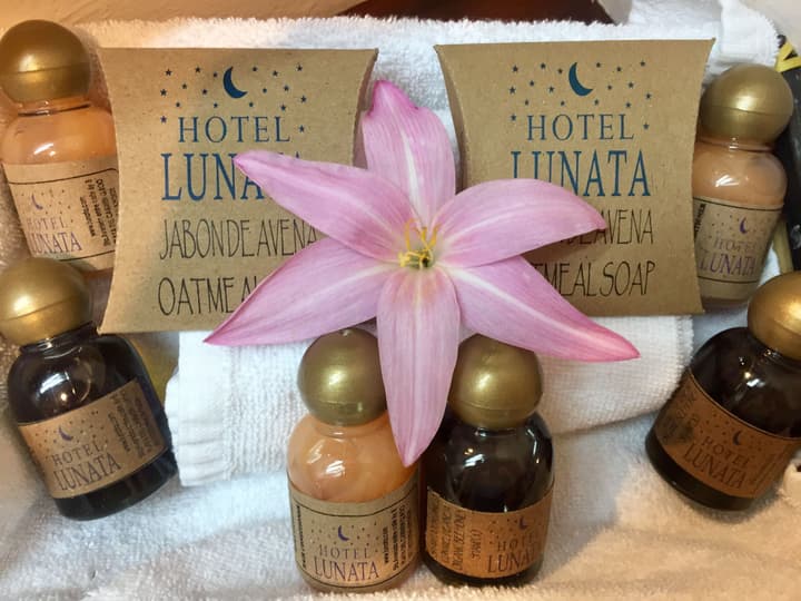 Hotel Lunata - Near Playa del Carmen Main Beach