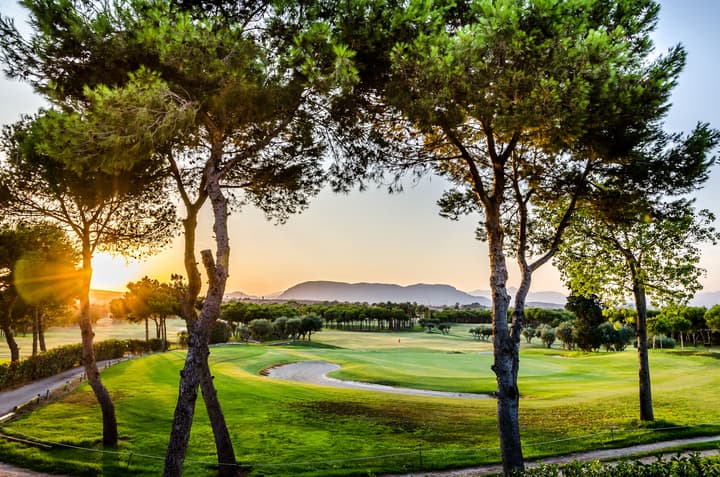 El Plantio Golf Resort