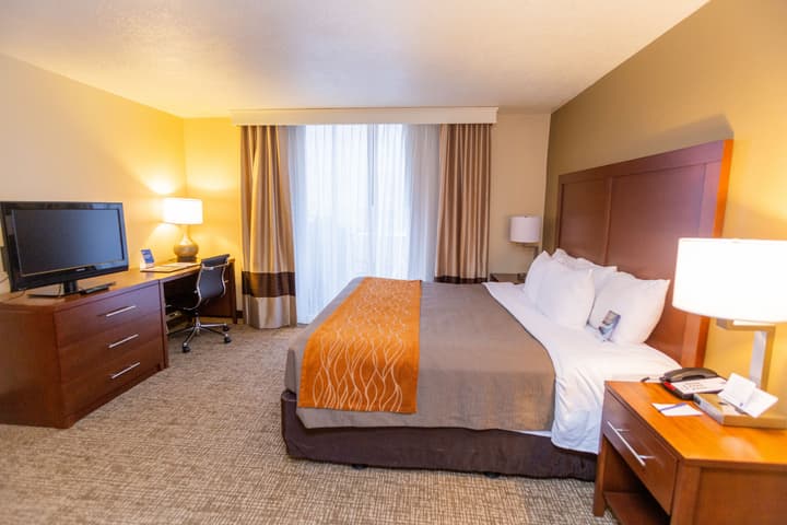 Comfort Inn Salt Lake City Downtown