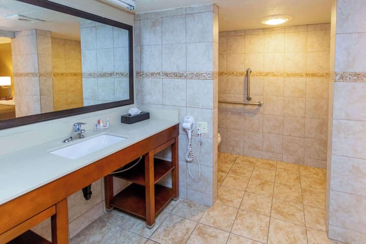 Comfort Inn Salt Lake City Downtown