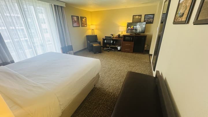 Comfort Inn Salt Lake City Downtown