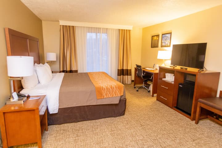 Comfort Inn Salt Lake City Downtown