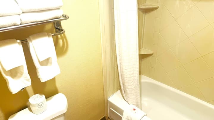 Comfort Inn Salt Lake City Downtown