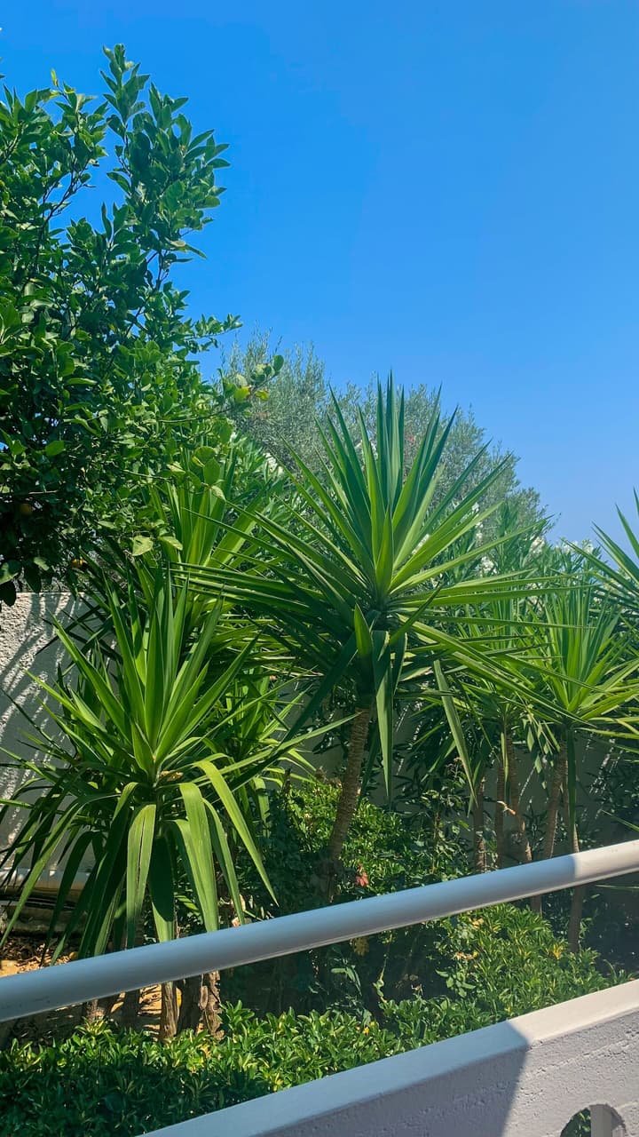 Folia Apartments