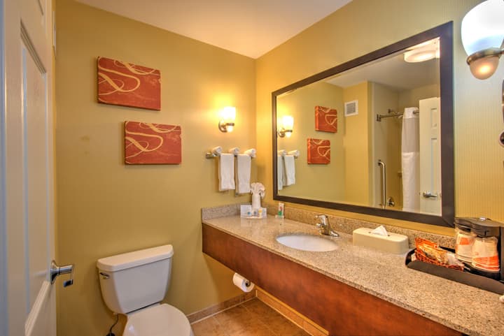 Comfort Suites Urbana Champaign, University Area