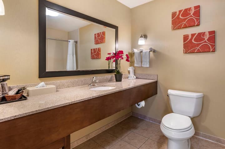 Comfort Suites Urbana Champaign, University Area