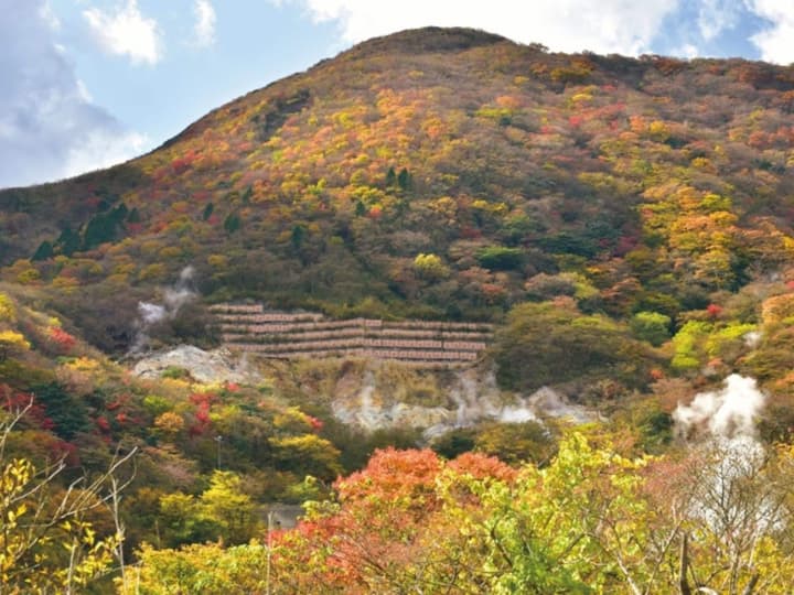 Hakone Yunohana Prince Hotel