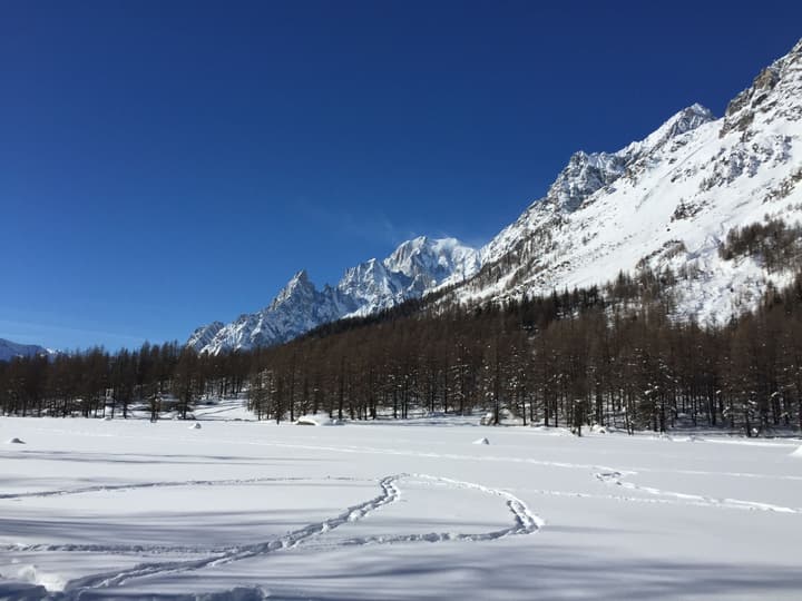 Croux