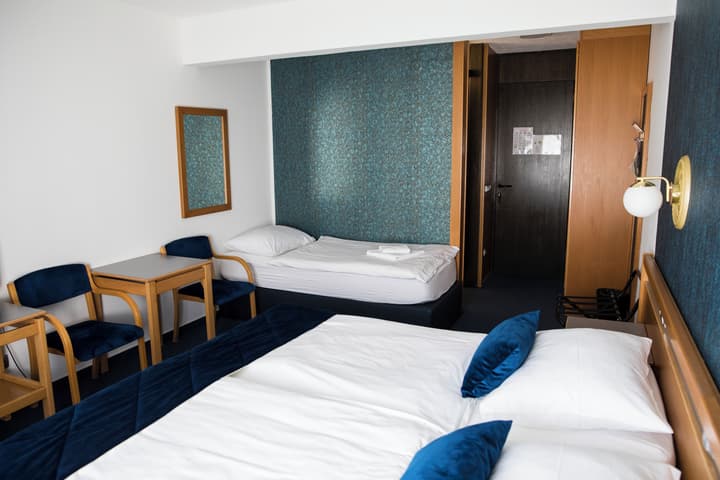 Alp Hotel