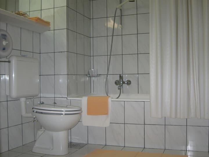 Alp Hotel