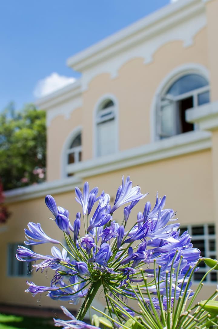 Hotel La Casona