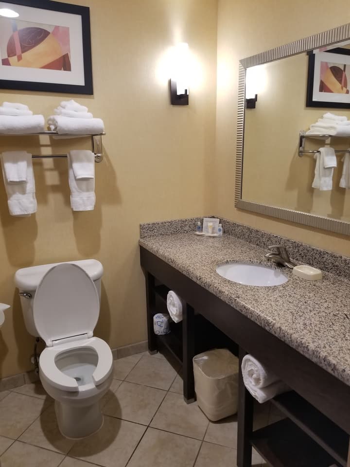 Comfort Suites Charleston West Ashley