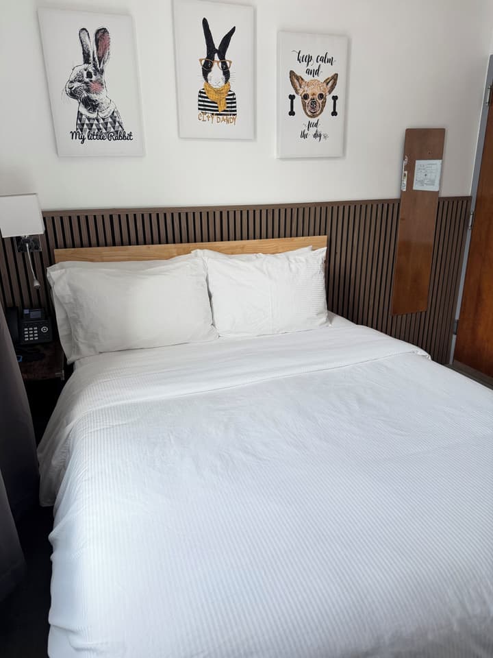 Hotel Mimosa