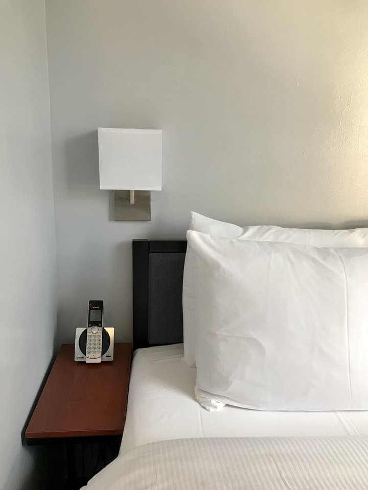 Hotel Mimosa
