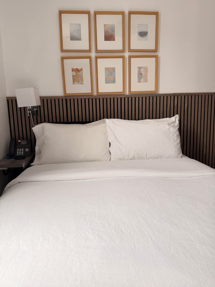 Hotel Mimosa