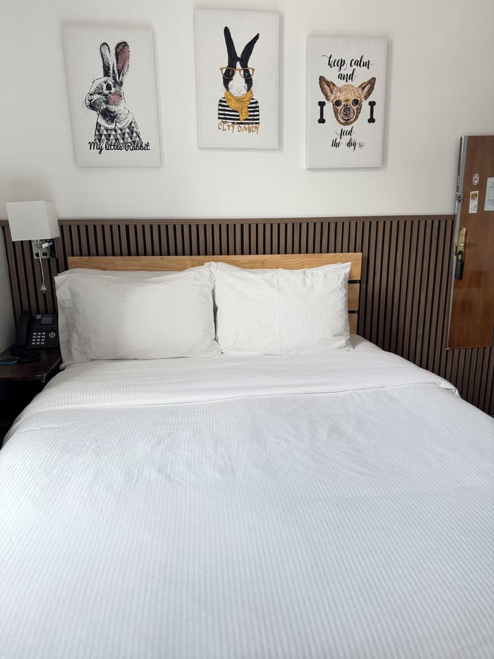 Hotel Mimosa