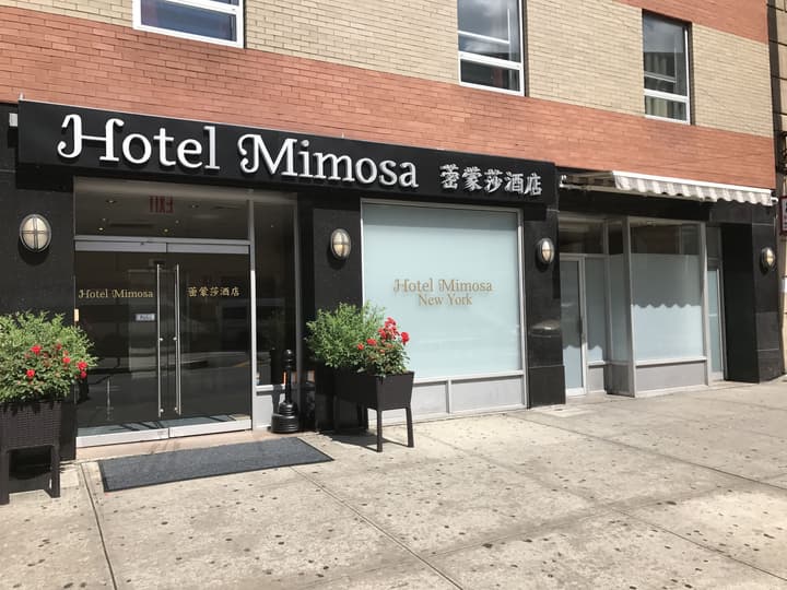 Hotel Mimosa