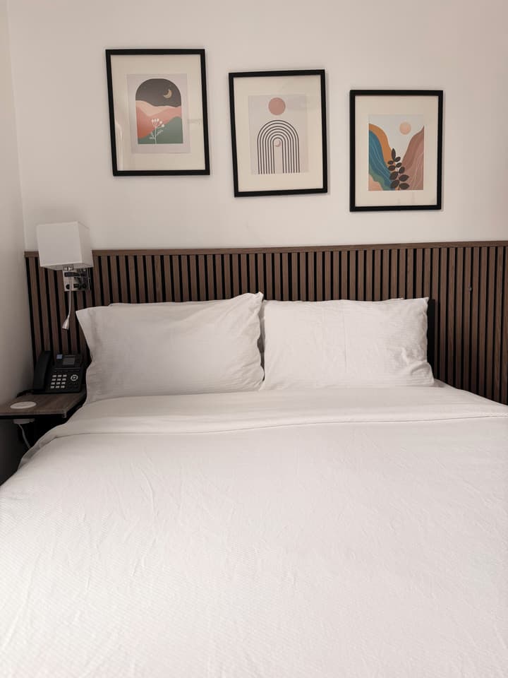 Hotel Mimosa