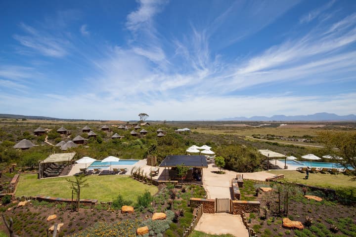 Garden Route Game Lodge