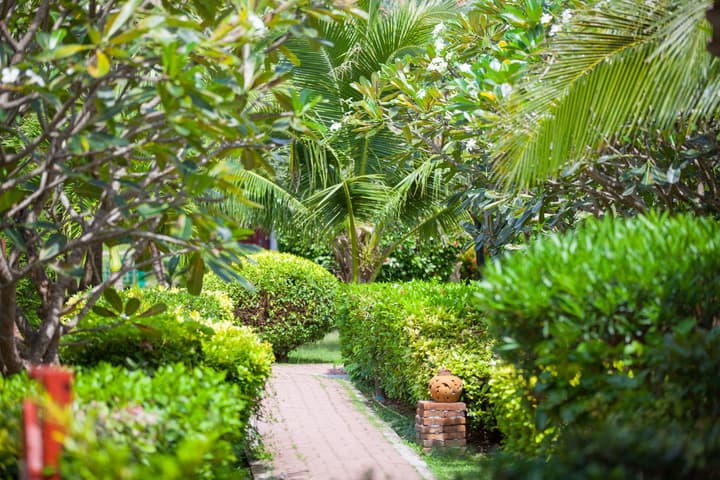 P. P. Erawan Palms Resort