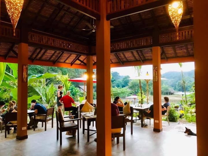Fern Resort