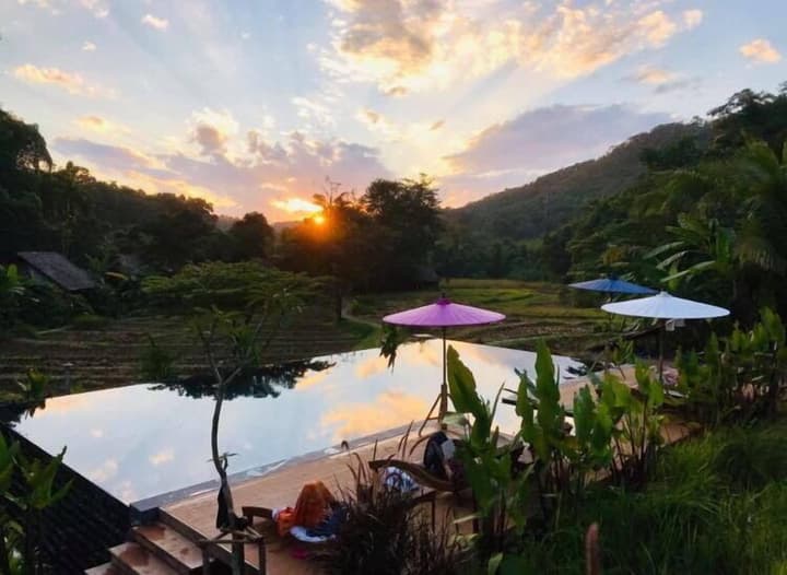 Fern Resort