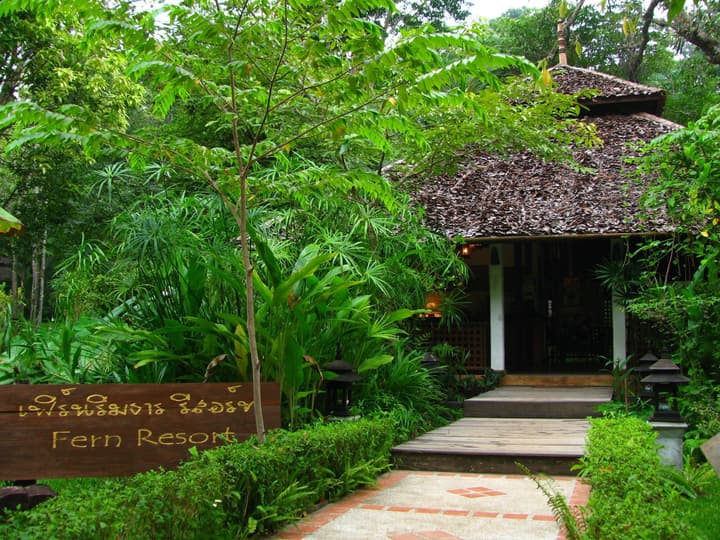 Fern Resort