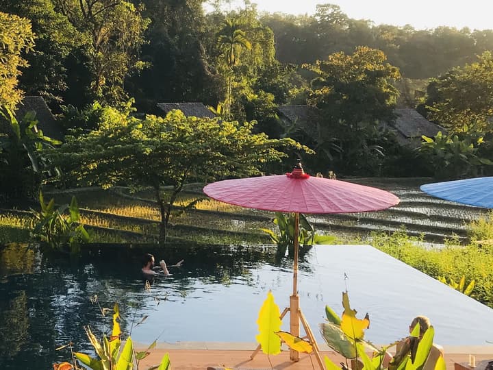 Fern Resort