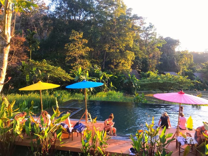 Fern Resort