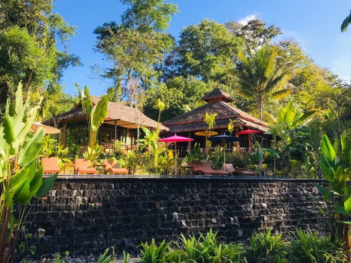 Fern Resort