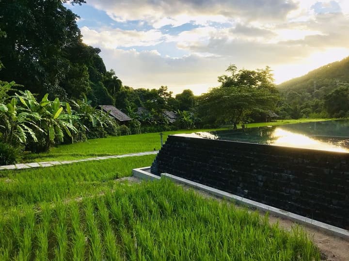 Fern Resort