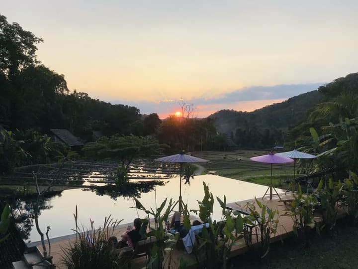 Fern Resort