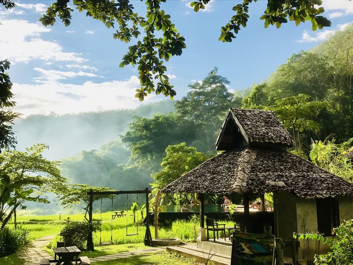Fern Resort
