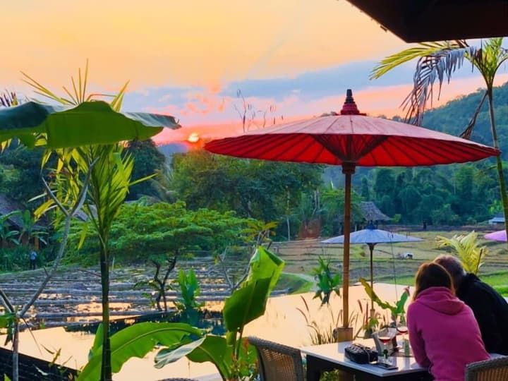 Fern Resort