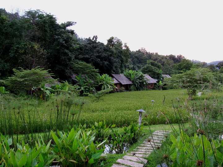 Fern Resort