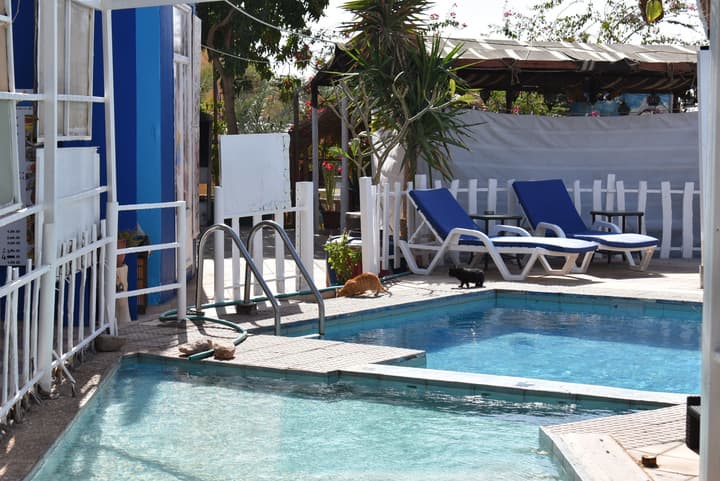 Bedouin Garden Village, Hotel Dive