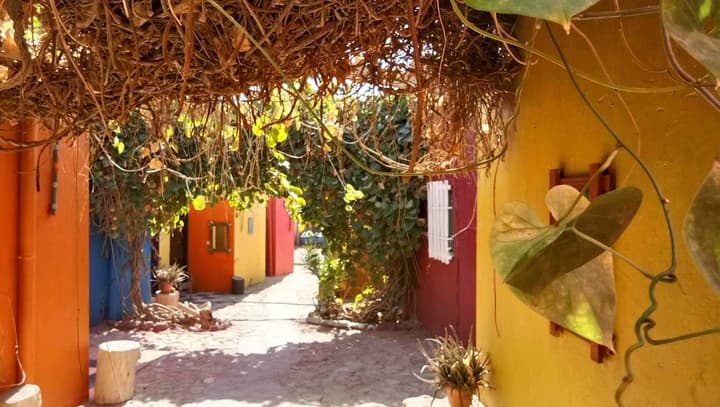 Bedouin Garden Village, Hotel Dive