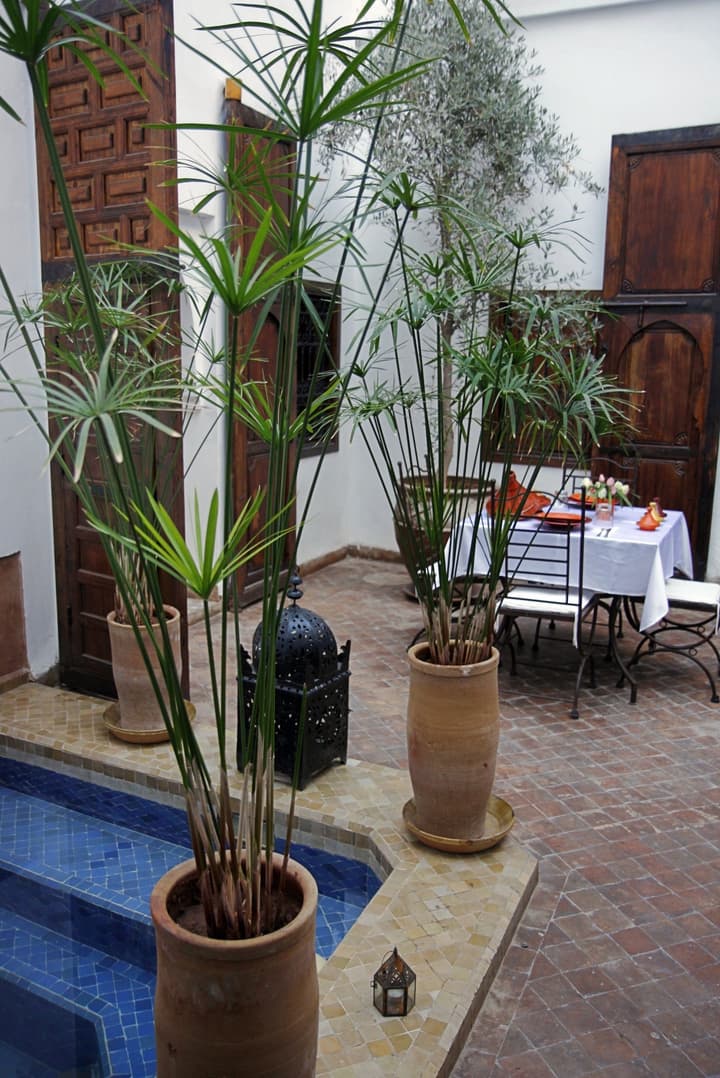 Riad Elixir