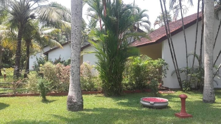 Abad Whispering Palms