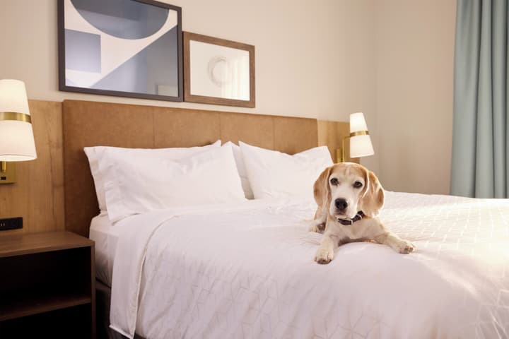 Staybridge Suites Tucson Airport by IHG