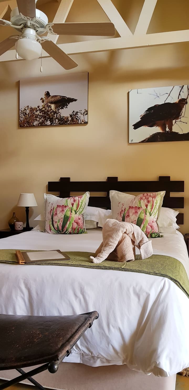 Dreamfields Guesthouse