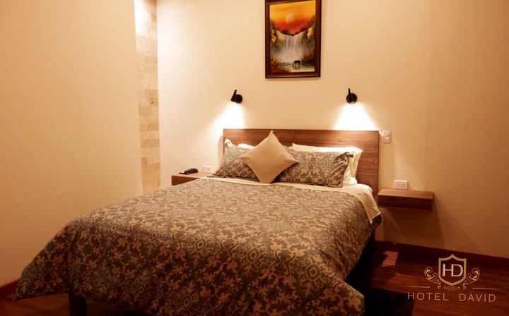 Hotel David