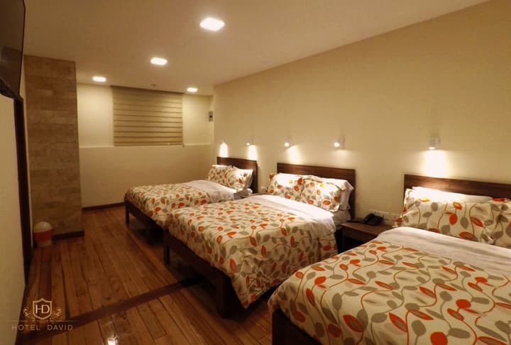 Hotel David